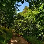 B&B Il Sentiero Di 아시시