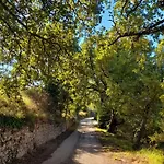 Il Sentiero Di 아시시