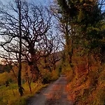 Il Sentiero Di 아시시