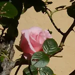 B&B Il Sentiero Di 3*