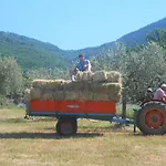 Il Sentiero Di