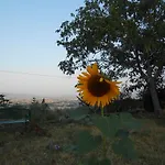 Il Sentiero Di 아시시