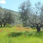 Il Sentiero Di 3* 아시시