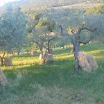Il Sentiero Di 3*