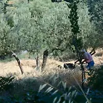Il Sentiero Di B&B 3*