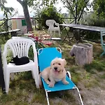 B&B Il Sentiero Di 아시시