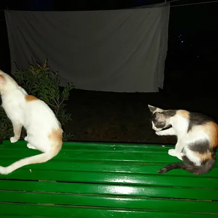 Il Sentiero Di Bed and Breakfast 3*