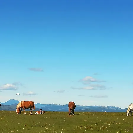 Bed and Breakfast Il Sentiero Di 3*