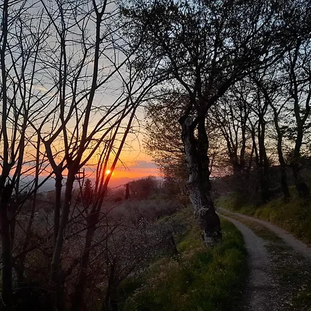 Il Sentiero Di أسيسي