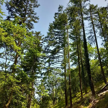 Il Sentiero Di 3* Ασίζη