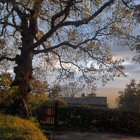 Il Sentiero Di