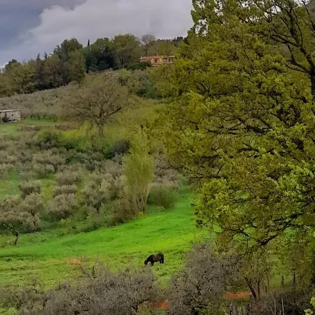 Il Sentiero Di Bed and Breakfast