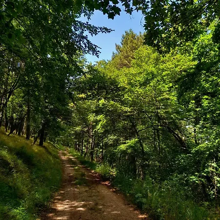 Bed and Breakfast Il Sentiero Di Ασίζη