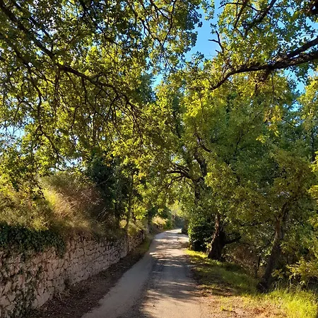 Il Sentiero Di Asís