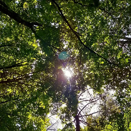 Bed and Breakfast Il Sentiero Di