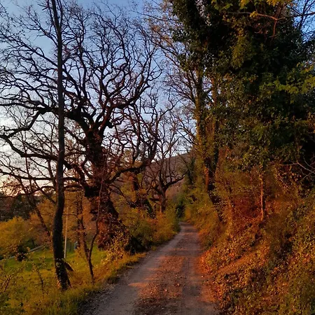 Il Sentiero Di Asís