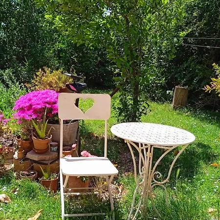 فندق مبيت وإفطار Il Sentiero Di أسيسي