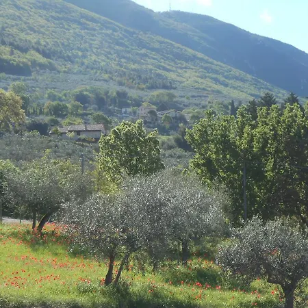 Il Sentiero Di Bed and breakfast 3*