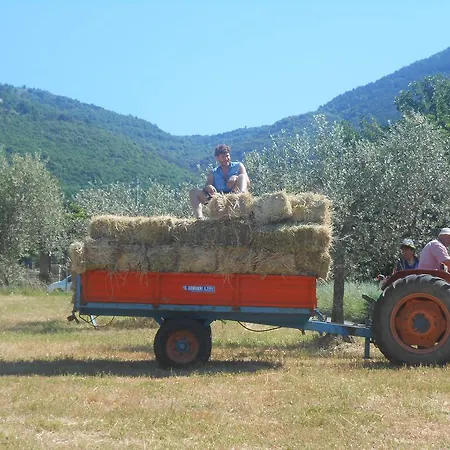 Il Sentiero Di