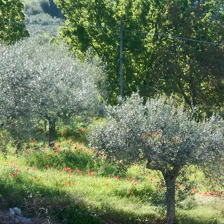 Il Sentiero Di 3*