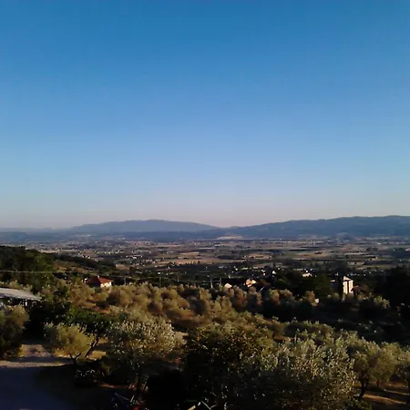 Il Sentiero Di Asís
