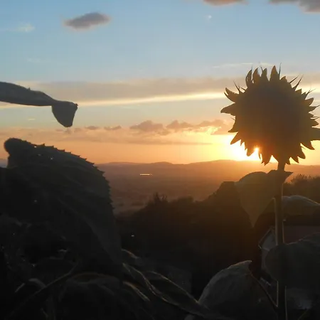 Bed and Breakfast Il Sentiero Di 3*