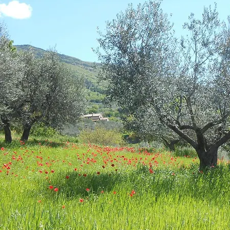 Il Sentiero Di 3* Asís