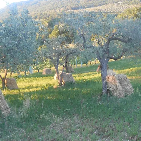 Il Sentiero Di 3*