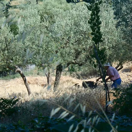 Il Sentiero Di לינה וארוחת בוקר *
