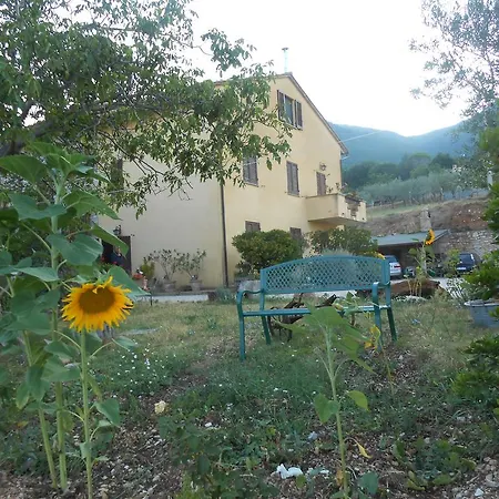 Il Sentiero Di *