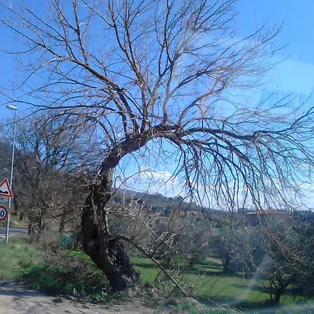Il Sentiero Di לינה וארוחת בוקר *