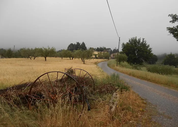 Il Sentiero Di 3* Assisi