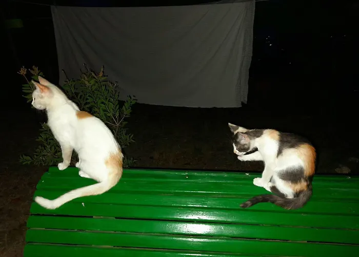 Il Sentiero Di فندق مبيت وإفطار 3*