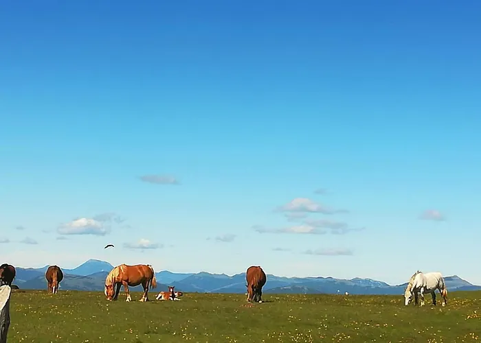 فندق مبيت وإفطار Il Sentiero Di 3*