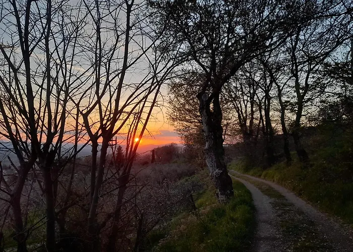 Il Sentiero Di Assisi