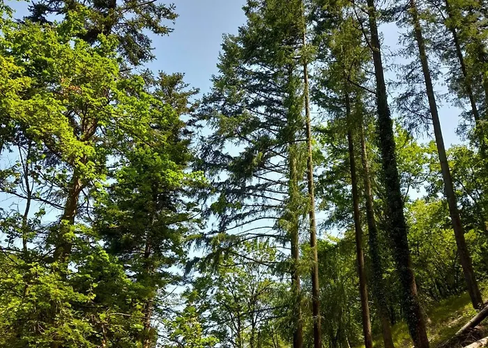 Il Sentiero Di 3* أسيسي