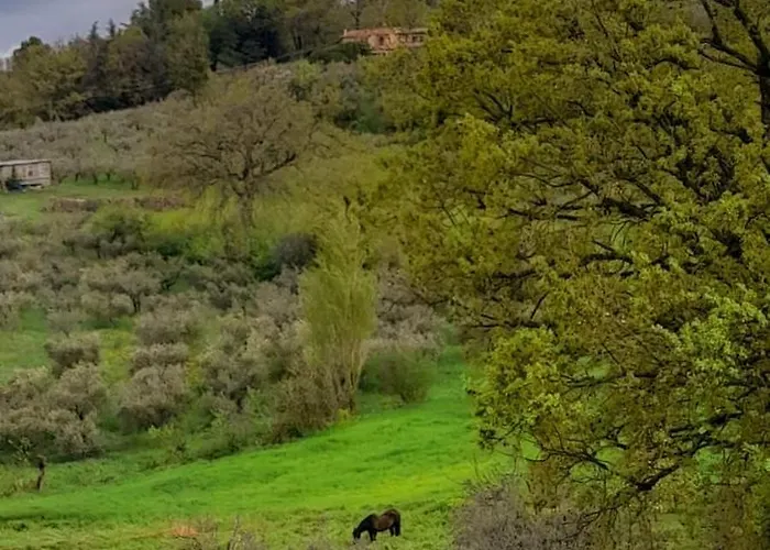 Il Sentiero Di Bed & Breakfast
