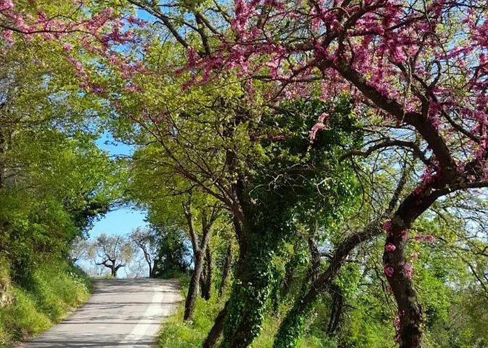 Bed & Breakfast Il Sentiero Di 3*