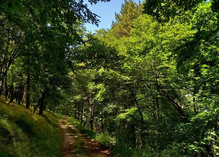 Bed & Breakfast Il Sentiero Di Assisi