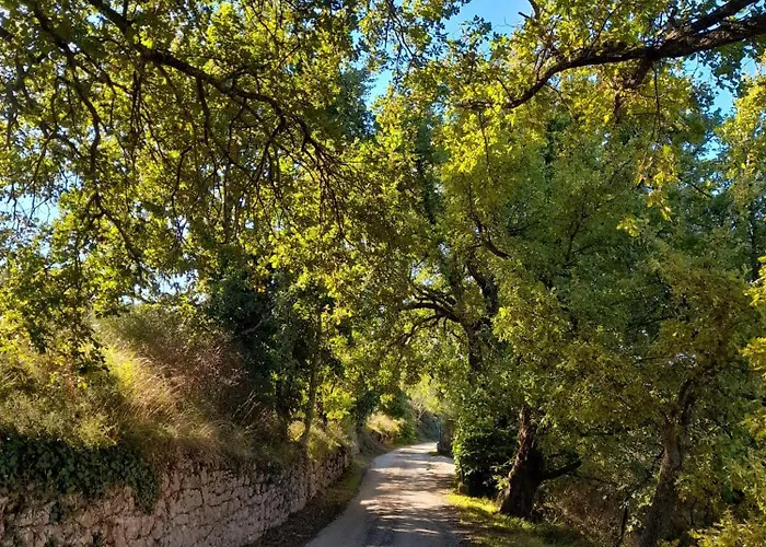 Il Sentiero Di Assisi