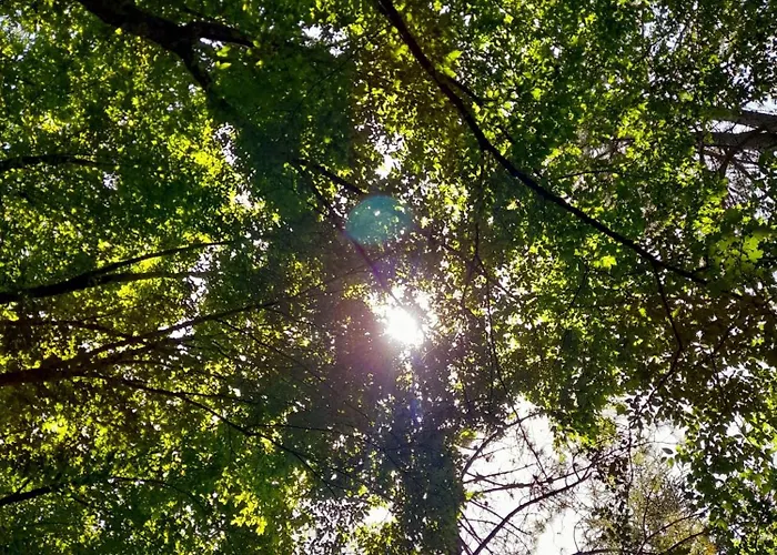 فندق مبيت وإفطار Il Sentiero Di