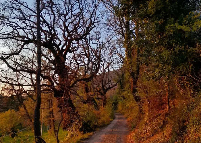 Il Sentiero Di أسيسي