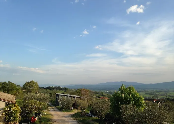 Il Sentiero Di أسيسي