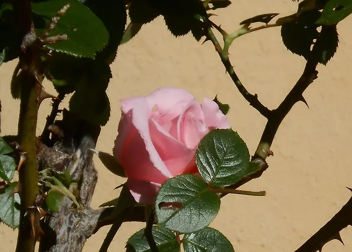 فندق مبيت وإفطار Il Sentiero Di 3*