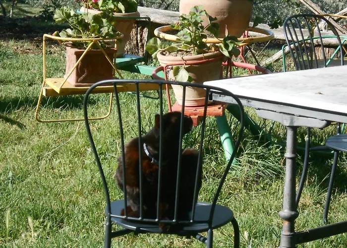 فندق مبيت وإفطار Il Sentiero Di