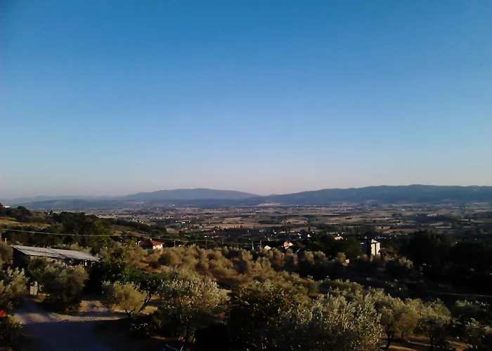 Il Sentiero Di Assisi