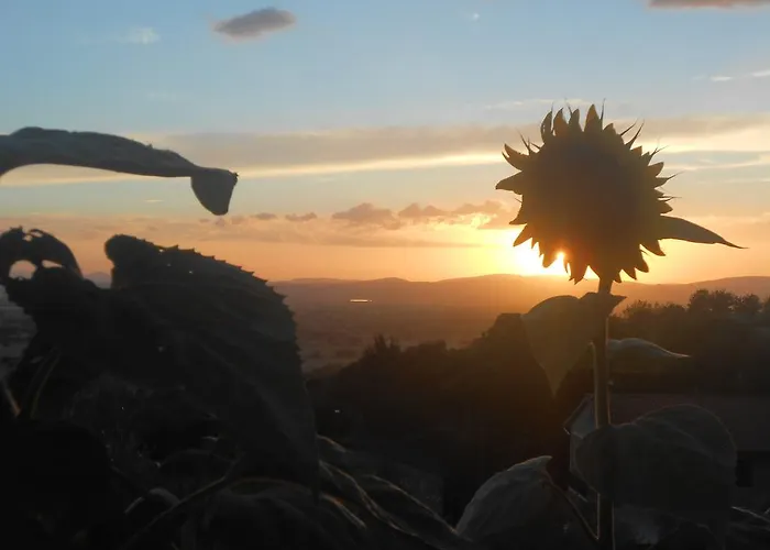 Bed & Breakfast Il Sentiero Di 3*