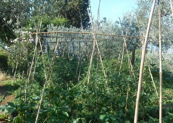 فندق مبيت وإفطار Il Sentiero Di 3*