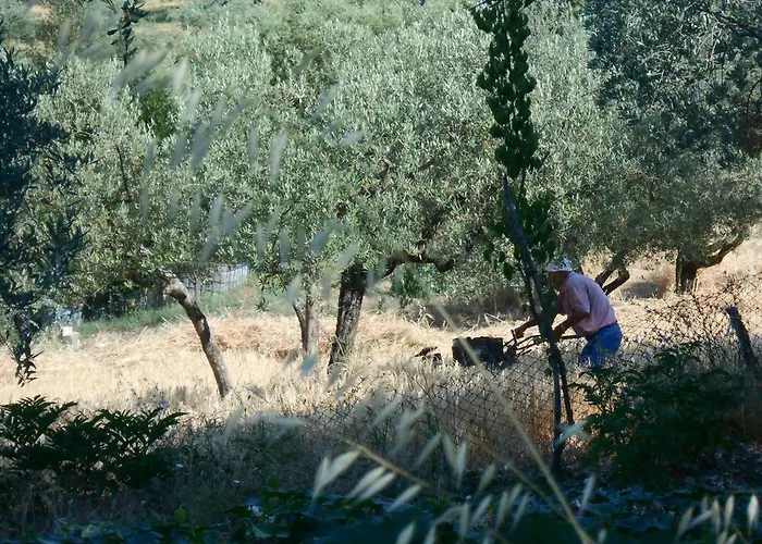 Il Sentiero Di فندق مبيت وإفطار 3*