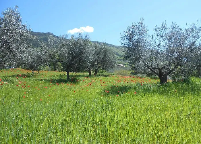 Bed & Breakfast Il Sentiero Di Assisi